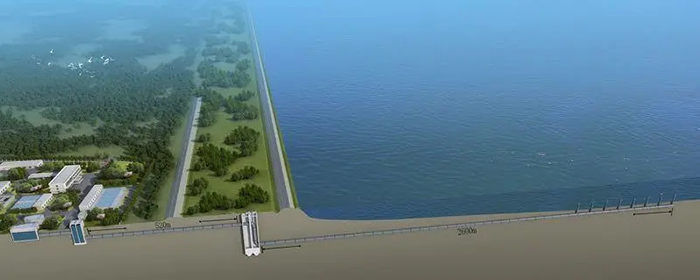 04.jpg