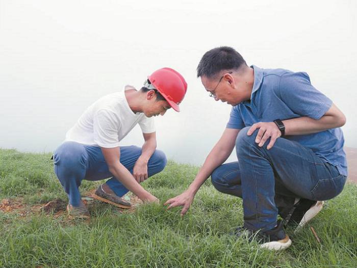工作人员查看植被生长情况。.JPG